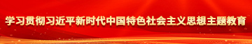 小熊鸡吧日屄操屄学习贯彻习近平新时代中国特色社会主义思想主题教育